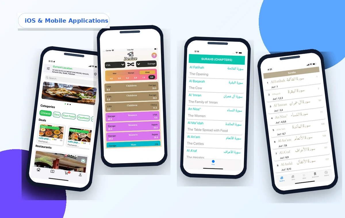 Mobile application interface portfolio