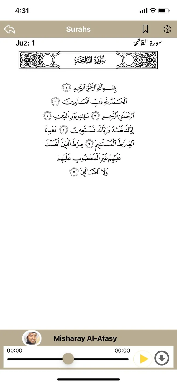 IslamSOM mobile interface