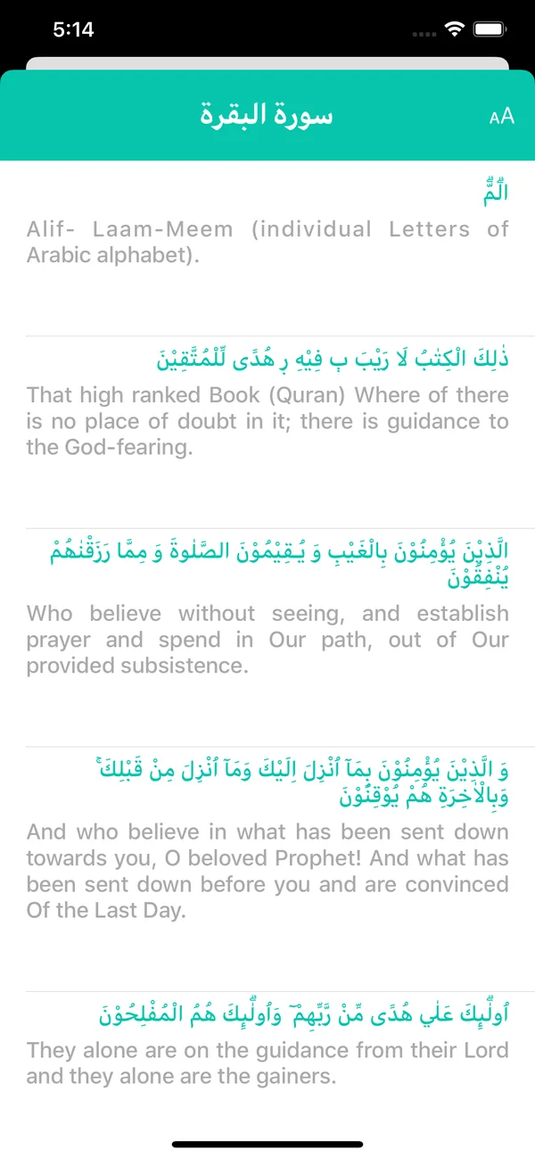 True Quran mobile interface